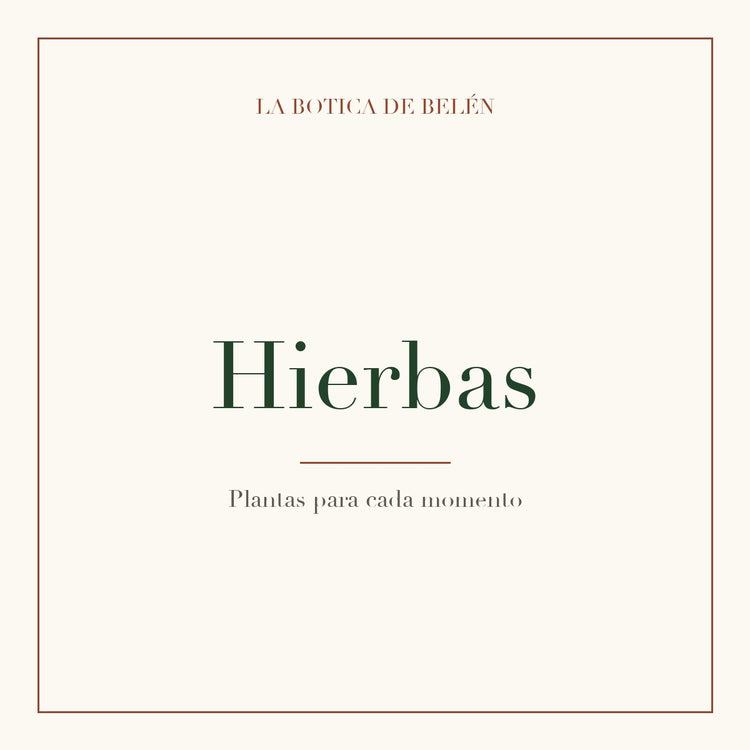 Hierbas - La Botica de Belén